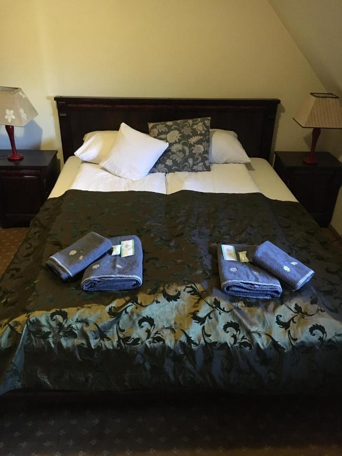 Dworska Elektrownia Hotell Kędzierzyn-Koźle Exteriör bild